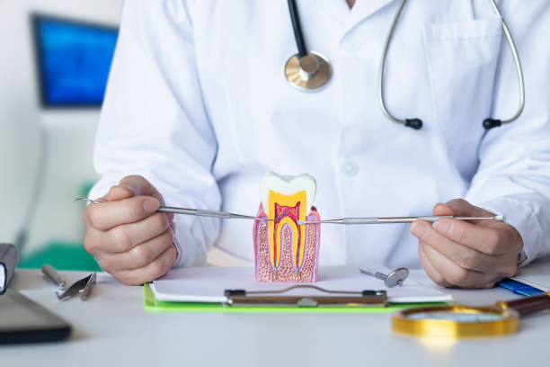 Best Weekend Emergency Dentist in Wolcott, IN